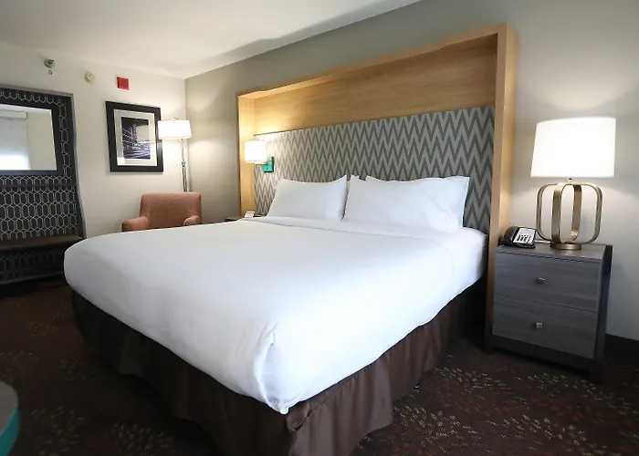 Holiday Inn O'Hare Area By Ihg Rosemont